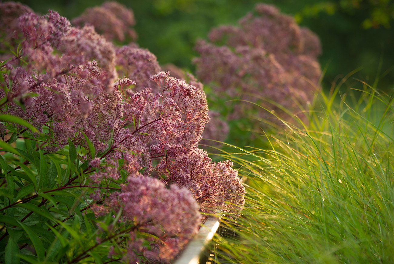 The LaurelRock Company - Residential Landscaping in CT - Back Country Manor - Garden Details