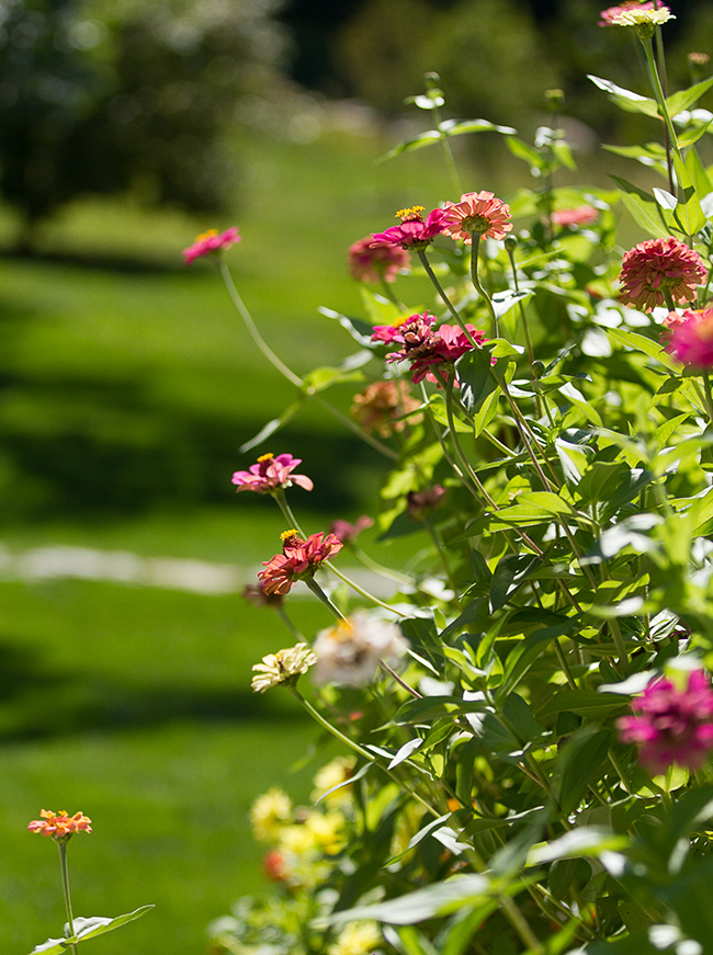 The LaurelRock Company - Residential Landscaping in Wilton CT - High Meadow Farm - Garden Detail