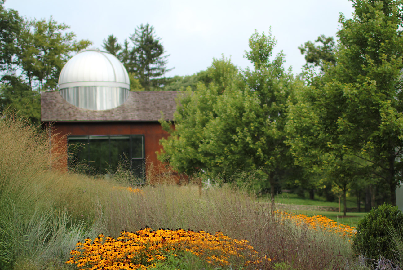 The LaurelRock Company - Residential Landscaping in Wilton CT - High Meadow Farm - Ornamental Grasses and Black-Eyed Susans