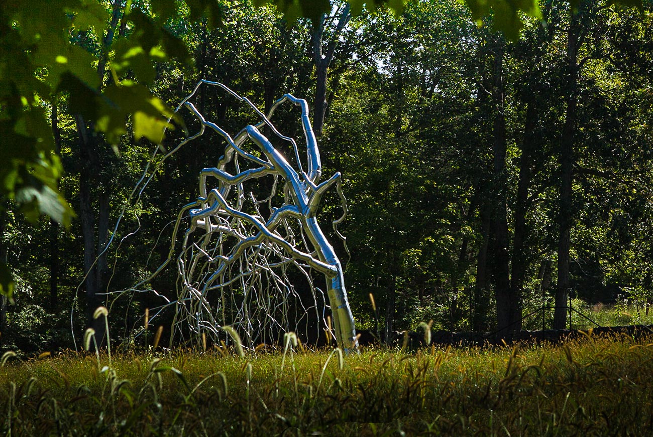 The LaurelRock Company - Residential Landscaping in Wilton CT - High Meadow Farm - Wildflower Meadow