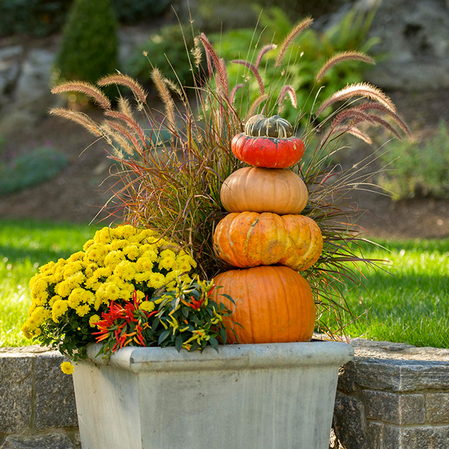 The LaurelRock Company provides year-round property enhancements such as Fall décor.