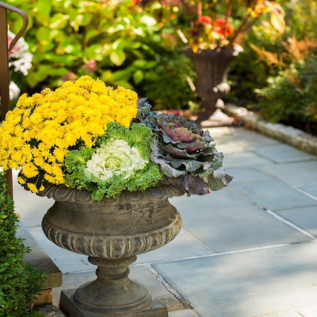 The LaurelRock Company provides year-round property enhancements such as Fall décor.