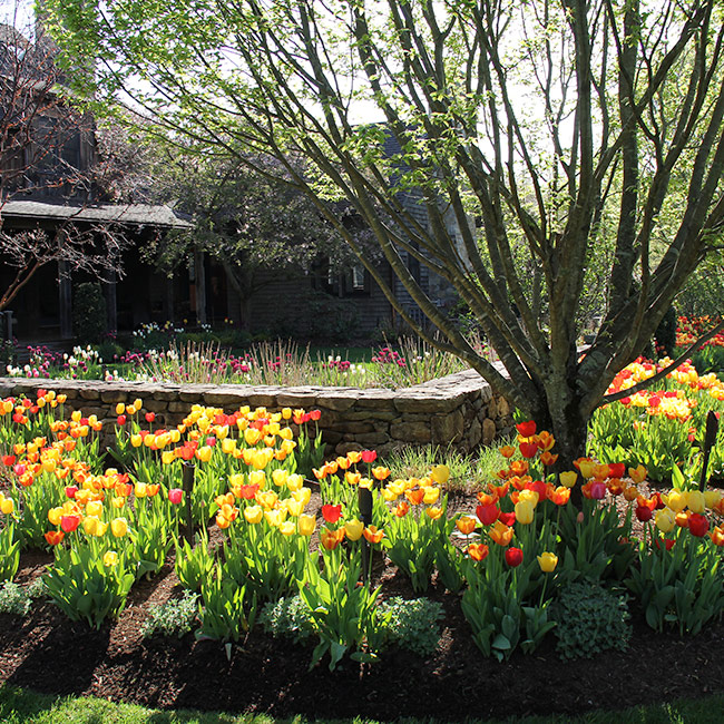 The LaurelRock Company provides year-round property enhancements such as Spring bulbs.