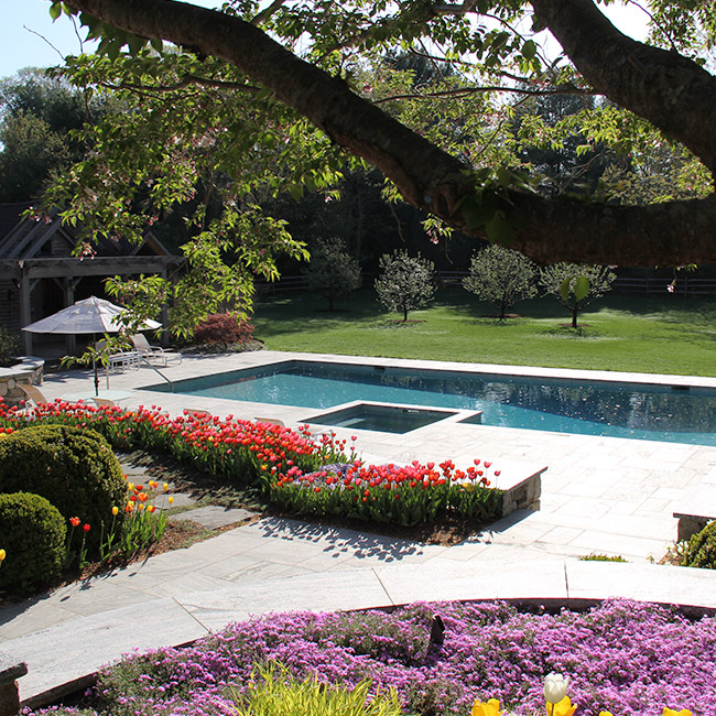 The LaurelRock Company provides year-round property enhancements such as Spring bulbs.