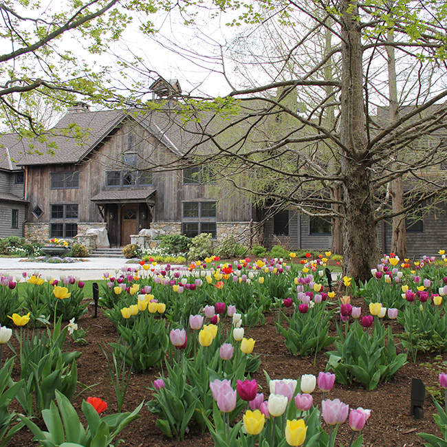 The LaurelRock Company provides year-round property enhancements such as Spring bulbs.