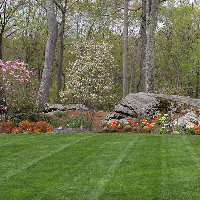 The LaurelRock Company provides year-round property enhancements such as Spring bulbs.