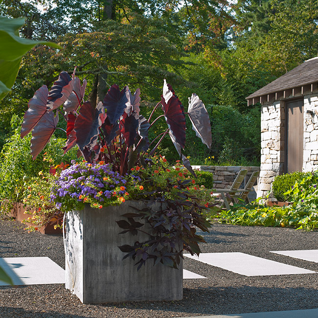 The LaurelRock Company provides year-round property enhancements such as Summer container gardens.