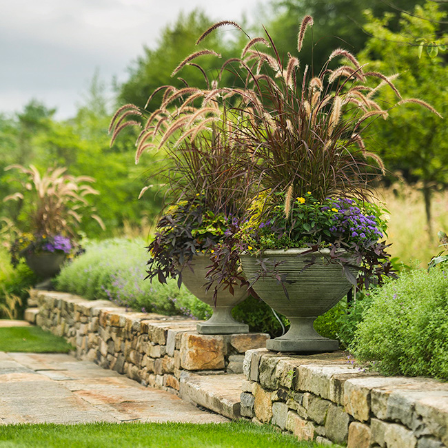 The LaurelRock Company provides year-round property enhancements such as ornamental grasses in the Summer.