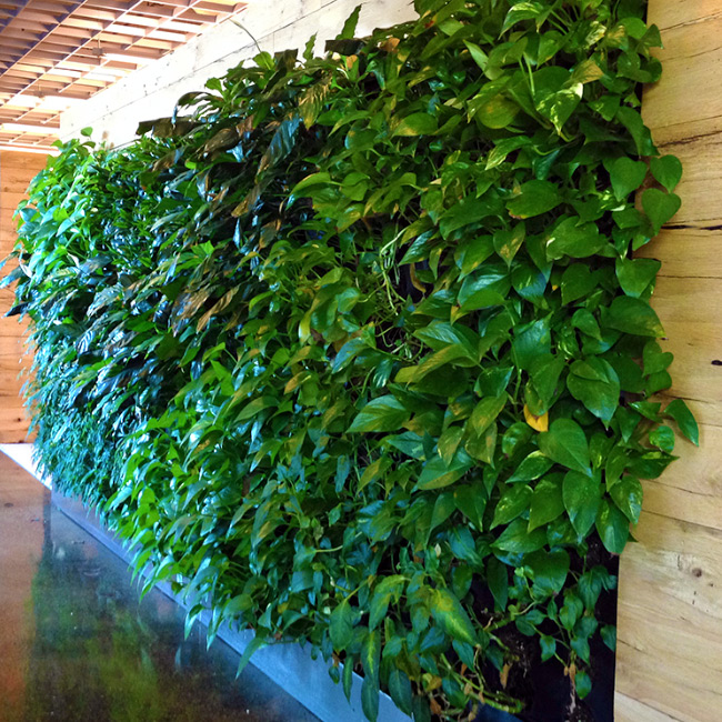 The LaurelRock Company provides sustainable offerings including living walls.