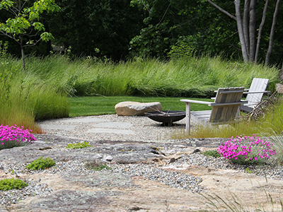 native plants