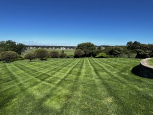 freshly mowed green lawn