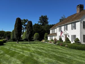 freshly mowed lawn in front of house