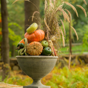 fall decor sitting outside