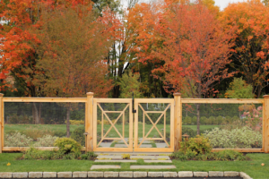 gate in front of autumn trees